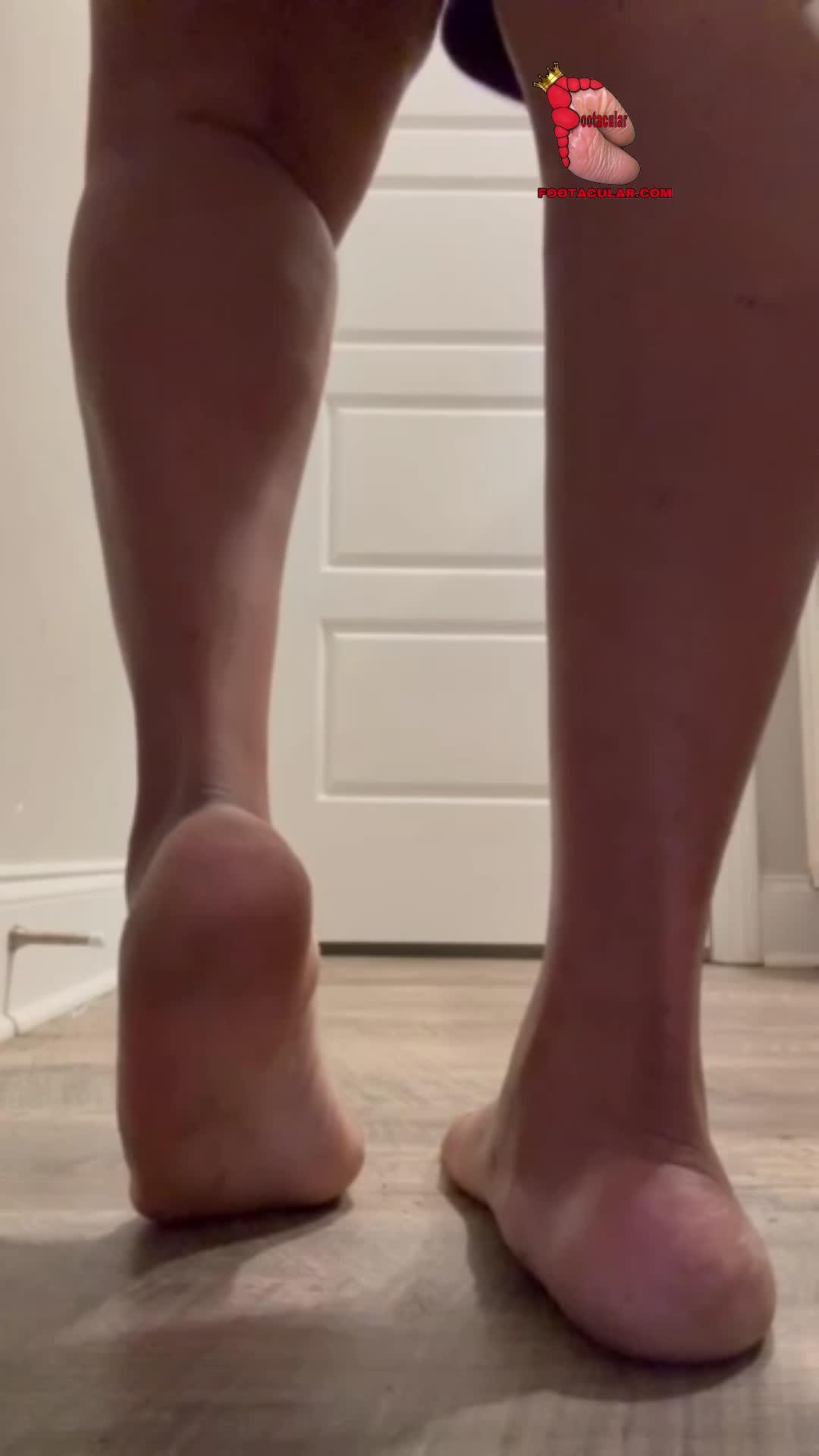New Model: Coming Soon
